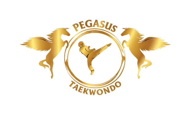 Pegasus Taekwondo